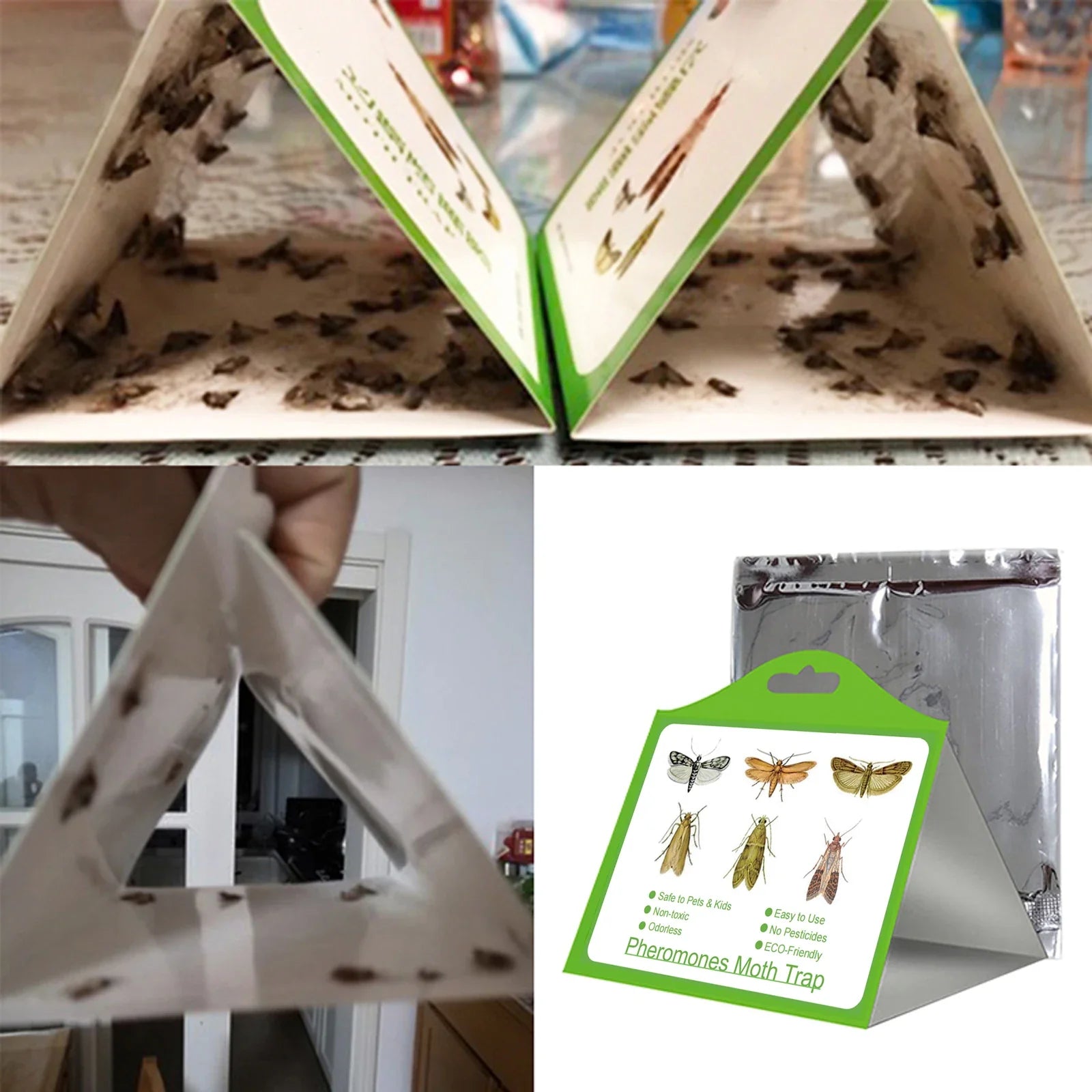 Pack of 6 Adhesive Clothes Moth Traps