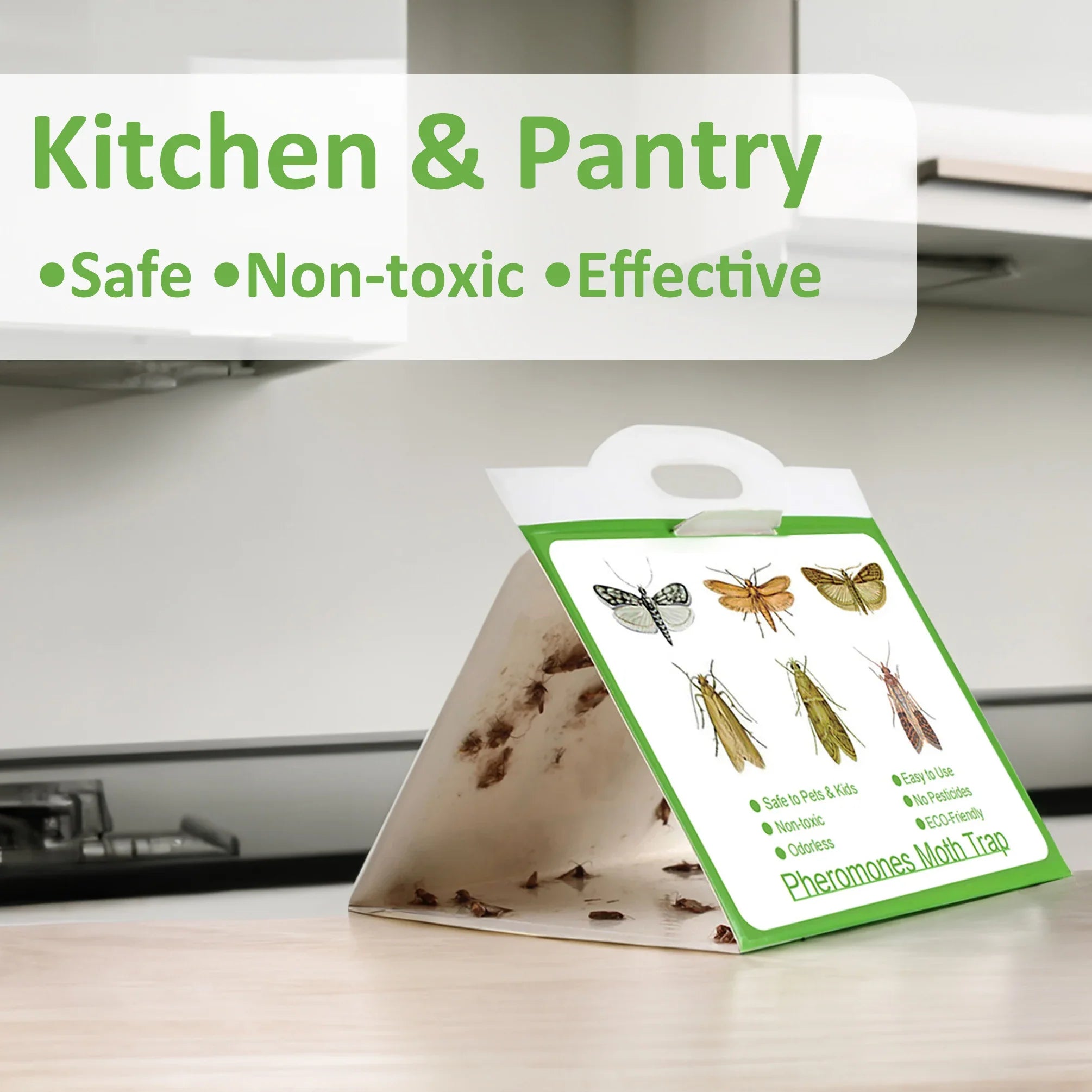 Pack of 6 Adhesive Clothes Moth Traps