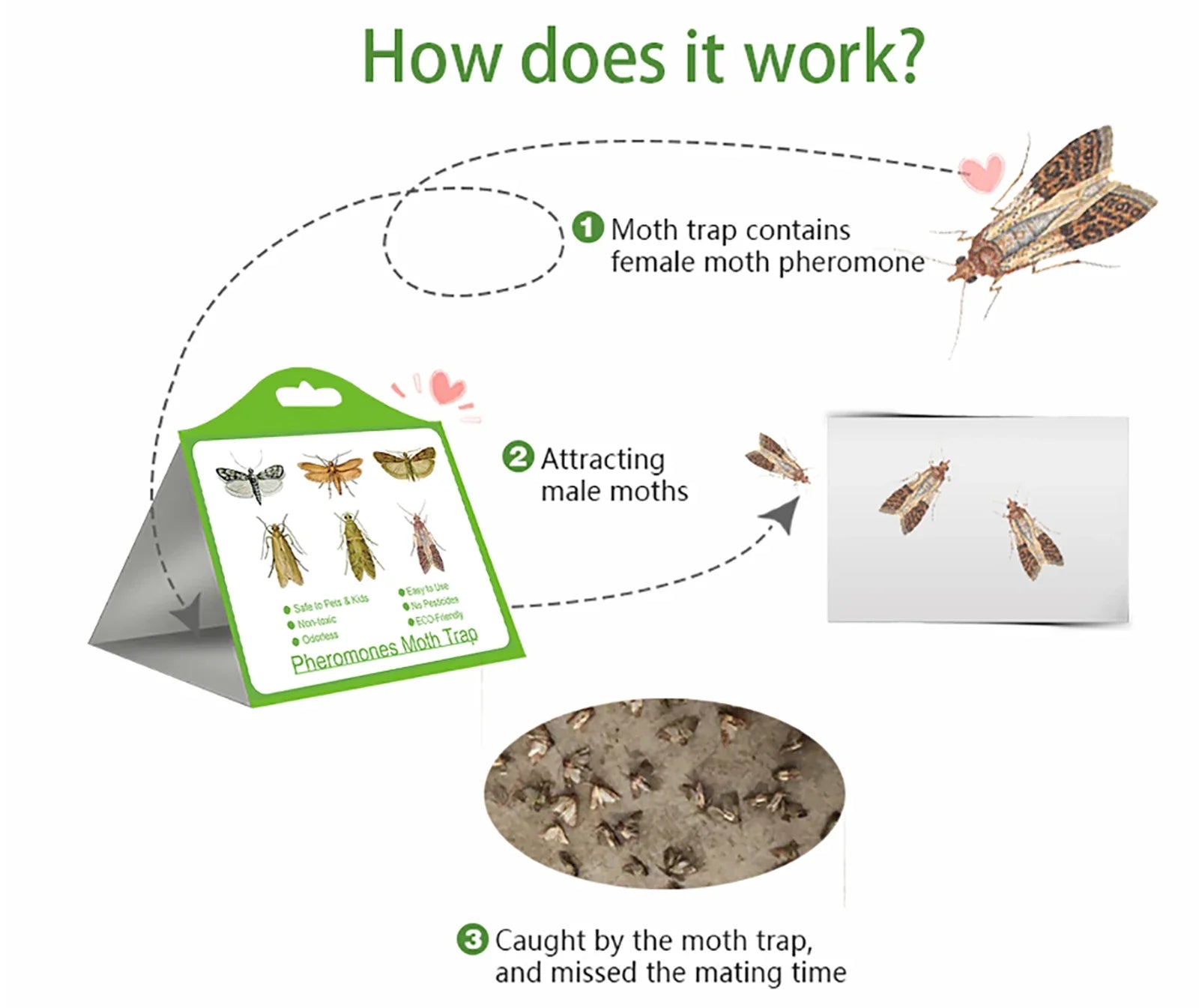 Pack of 6 Adhesive Clothes Moth Traps