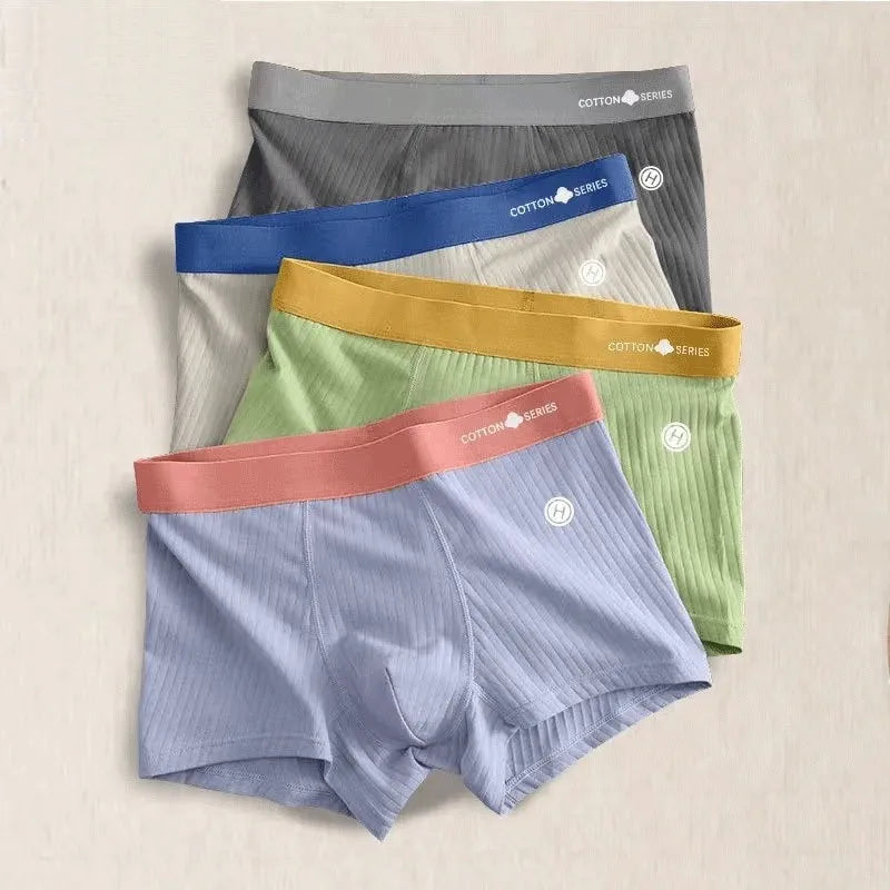 Lot de 4 Boxers confortables en coton 100%